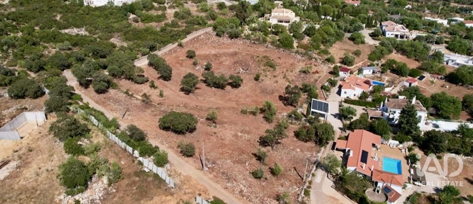 Terrain à bâtir à Santa Bárbara de Nexe de 8 736 m²