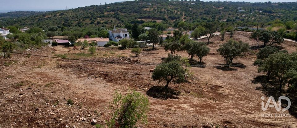 Terrain à bâtir à Santa Bárbara de Nexe de 8 736 m²