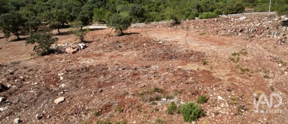 Terrain à bâtir à Santa Bárbara de Nexe de 8 736 m²
