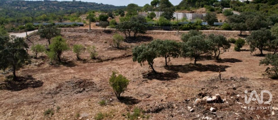 Terrain à bâtir à Santa Bárbara de Nexe de 8 736 m²