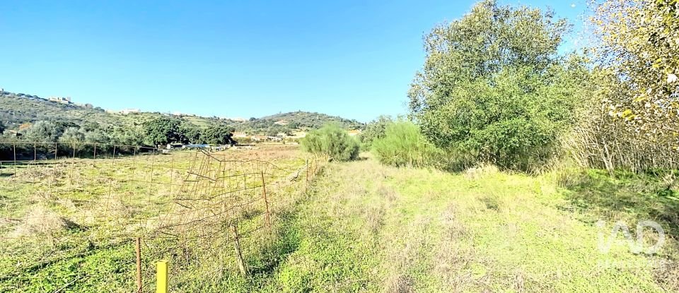 Terrain à Palmela de 1 763 m²