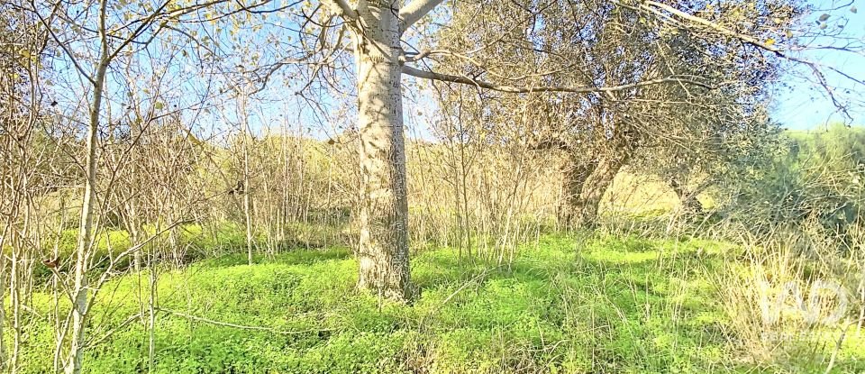 Terrain à Palmela de 1 763 m²