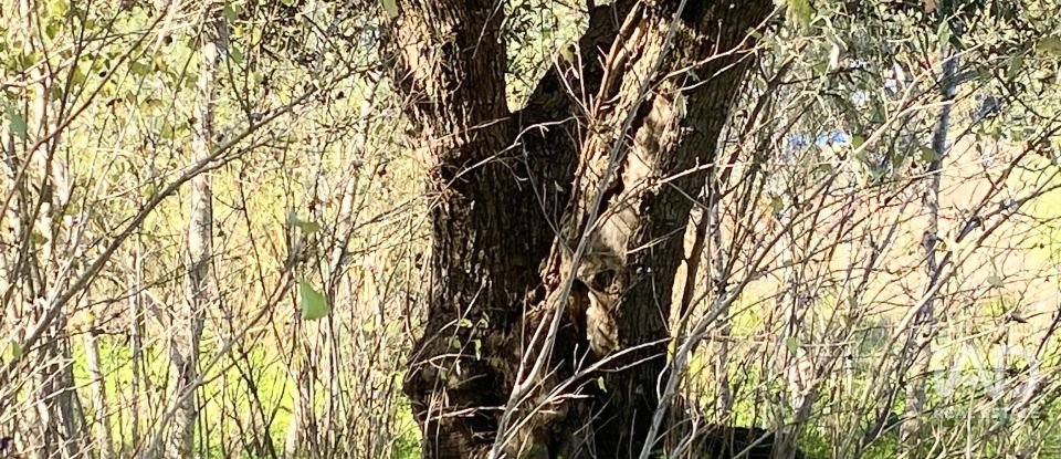 Terrain à Palmela de 1 763 m²