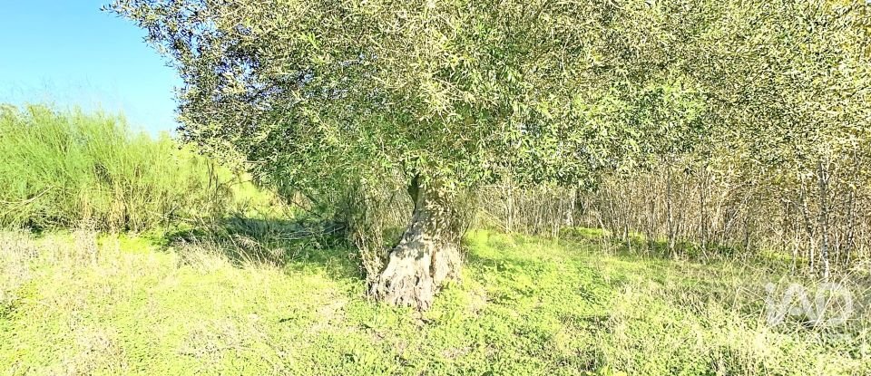 Terrain à Palmela de 1 763 m²