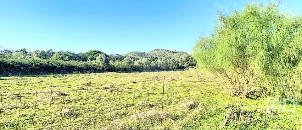 Terrain à Palmela de 1 763 m²