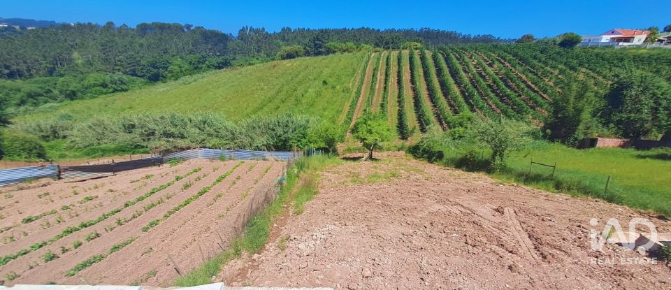 Casa T3 em Salir de Matos de 279 m²