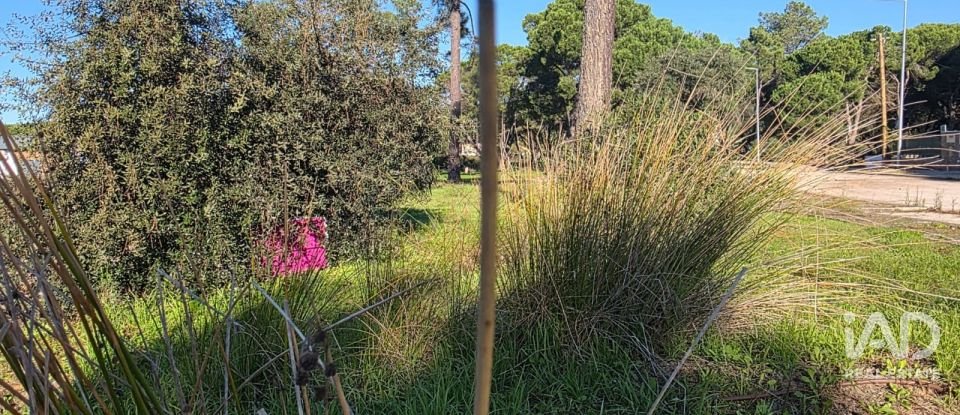 Moradia T3 em Sesimbra (Castelo) de 169 m²