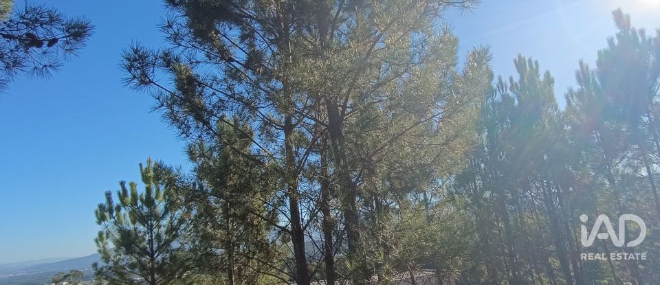 Terreno urbano em Reboreda e Nogueira de 760 m²