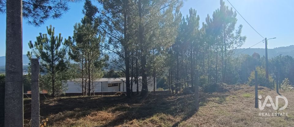 Terreno urbano em Reboreda e Nogueira de 760 m²