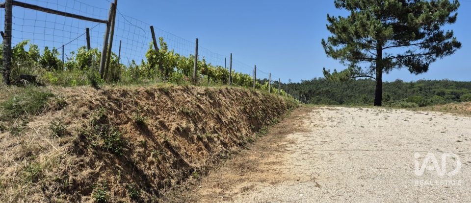 Terreno em Parceiros e Azoia de 2 687 m²