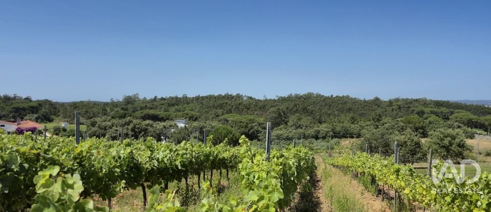 Terreno em Parceiros e Azoia de 2 687 m²