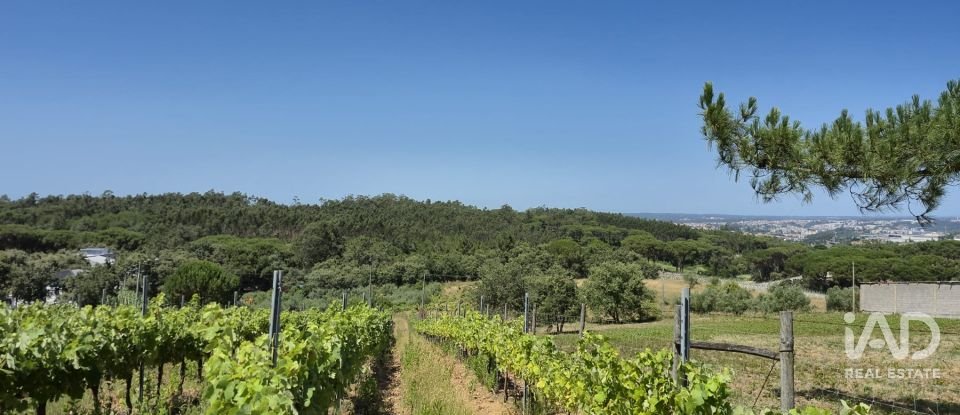 Terreno em Parceiros e Azoia de 2 687 m²