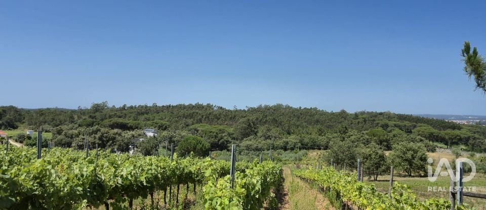 Terreno em Parceiros e Azoia de 2 687 m²