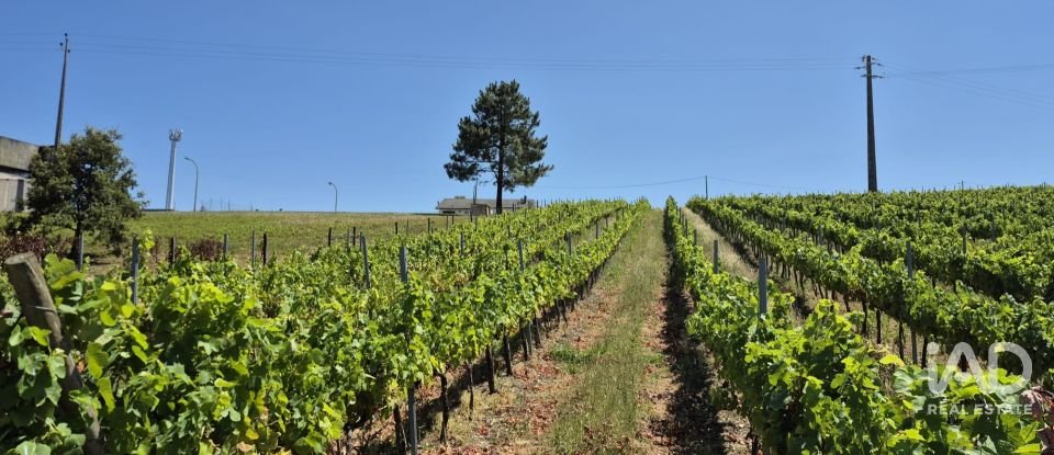 Terreno em Parceiros e Azoia de 2 687 m²