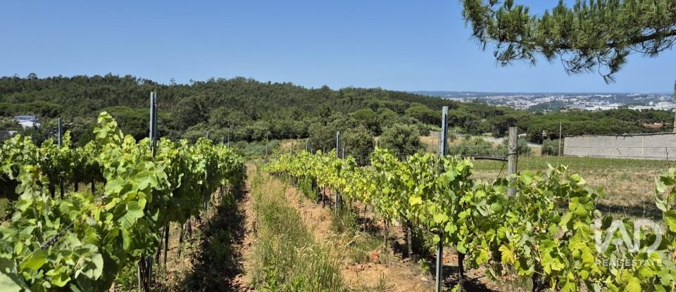 Terreno em Parceiros e Azoia de 2 687 m²