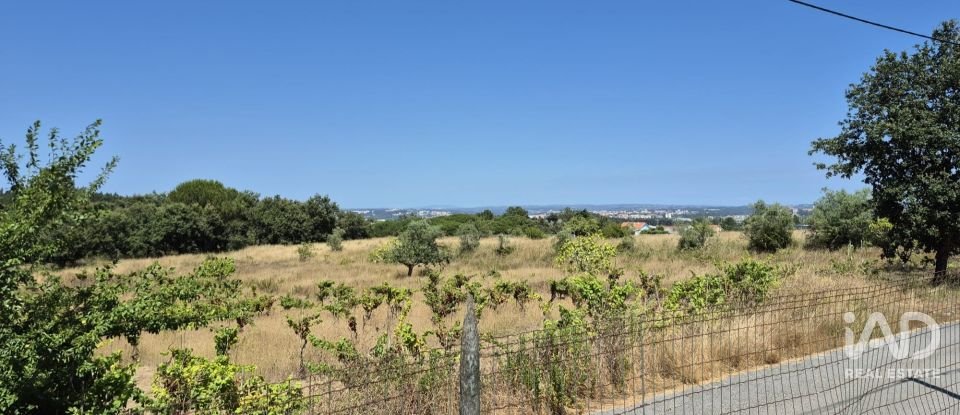 Terreno em Parceiros e Azoia de 2 687 m²