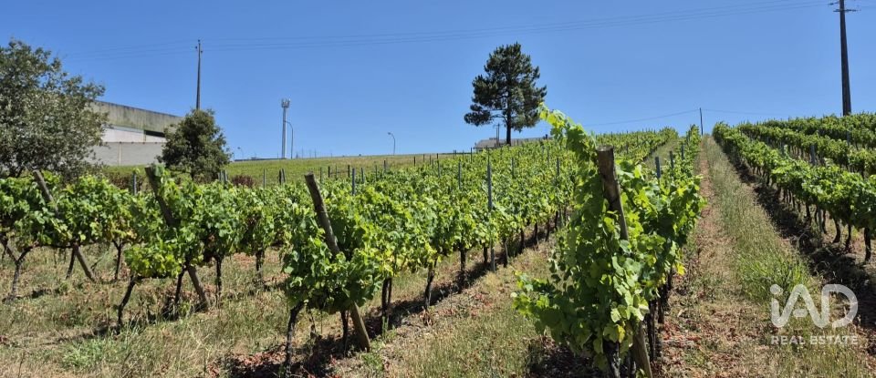 Terreno em Parceiros e Azoia de 2 687 m²