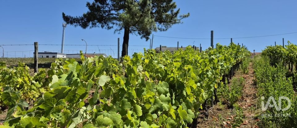 Terreno em Parceiros e Azoia de 2 687 m²