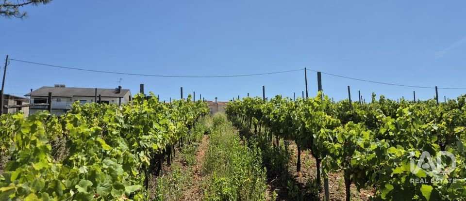 Terreno em Parceiros e Azoia de 2 687 m²