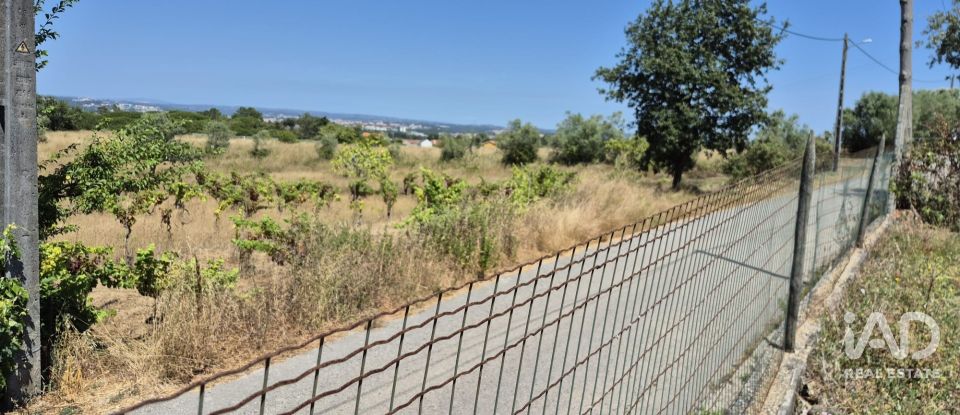 Terreno em Parceiros e Azoia de 2 687 m²