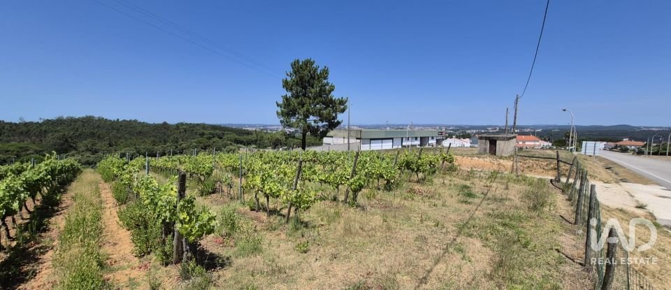 Terreno em Parceiros e Azoia de 2 687 m²