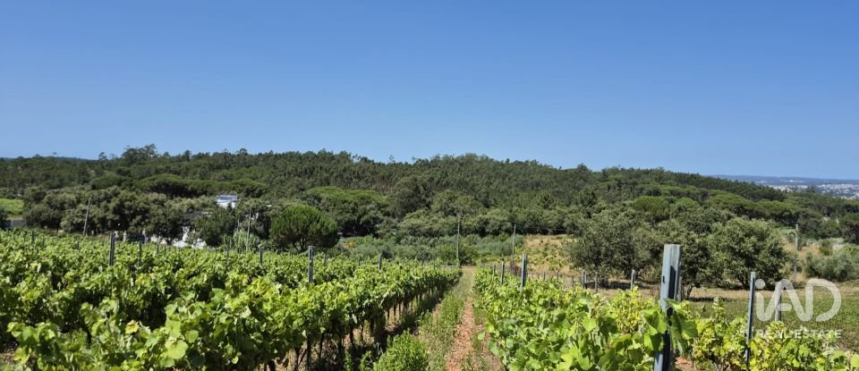 Terreno em Parceiros e Azoia de 2 687 m²