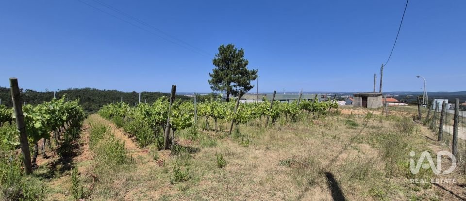 Terreno em Parceiros e Azoia de 2 687 m²