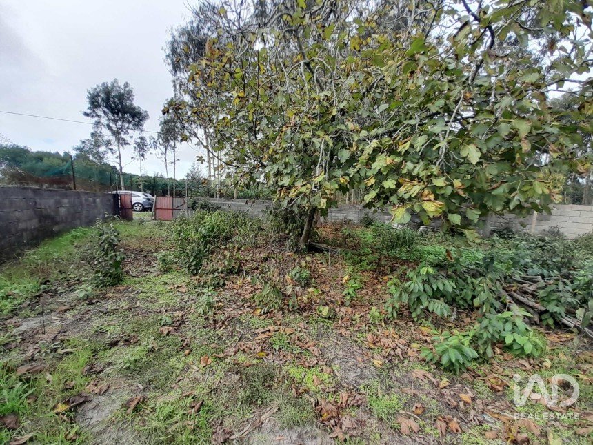 Terrain à Tocha de 1 770 m²