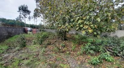 Terrain à Tocha de 1 770 m²