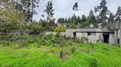 Terrain à Tocha de 1 770 m²