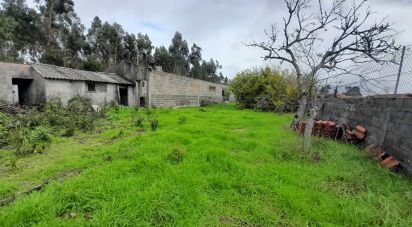Terrain à Tocha de 1 770 m²