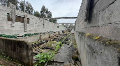 Terrain à Tocha de 1 770 m²