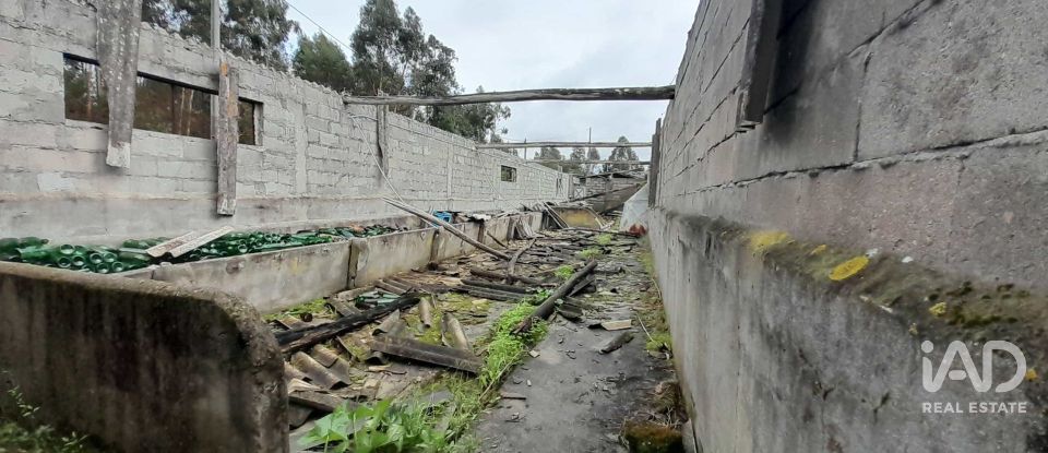 Terrain à Tocha de 1 770 m²