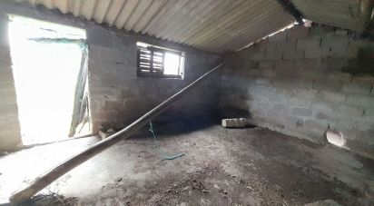 Terrain à Tocha de 1 770 m²