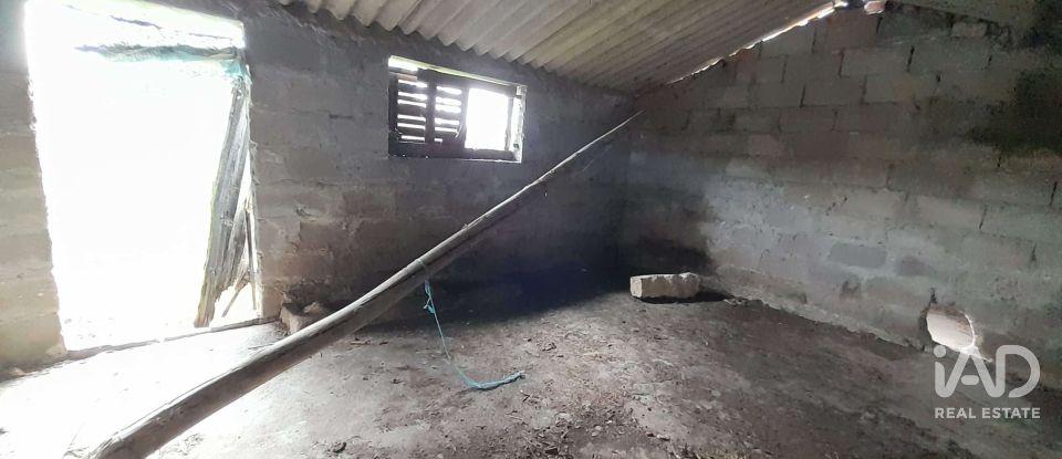 Terrain à Tocha de 1 770 m²