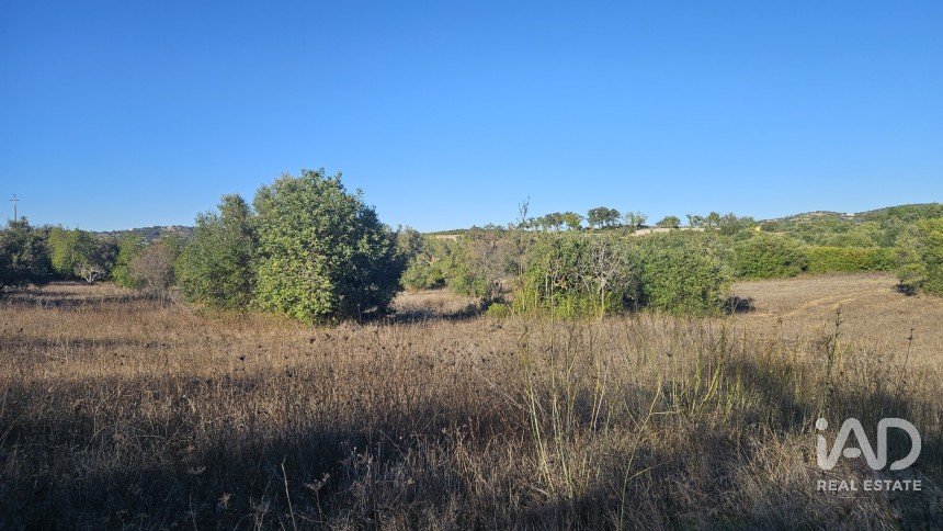 Terrain agricole à Santa Bárbara de Nexe de 14 880 m²