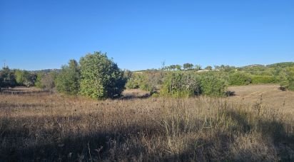 Terrain agricole à Santa Bárbara de Nexe de 14 880 m²