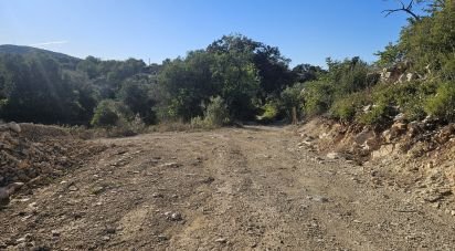 Terrain agricole à Santa Bárbara de Nexe de 14 880 m²