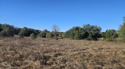 Terrain agricole à Santa Bárbara de Nexe de 14 880 m²