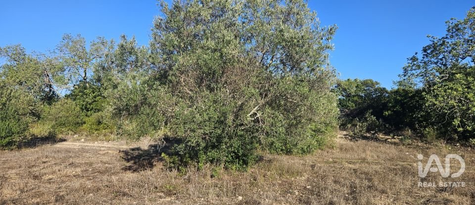 Terrain agricole à Santa Bárbara de Nexe de 14 880 m²