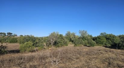 Terrain agricole à Santa Bárbara de Nexe de 14 880 m²