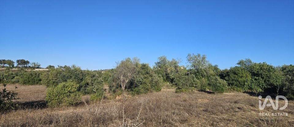 Terrain agricole à Santa Bárbara de Nexe de 14 880 m²
