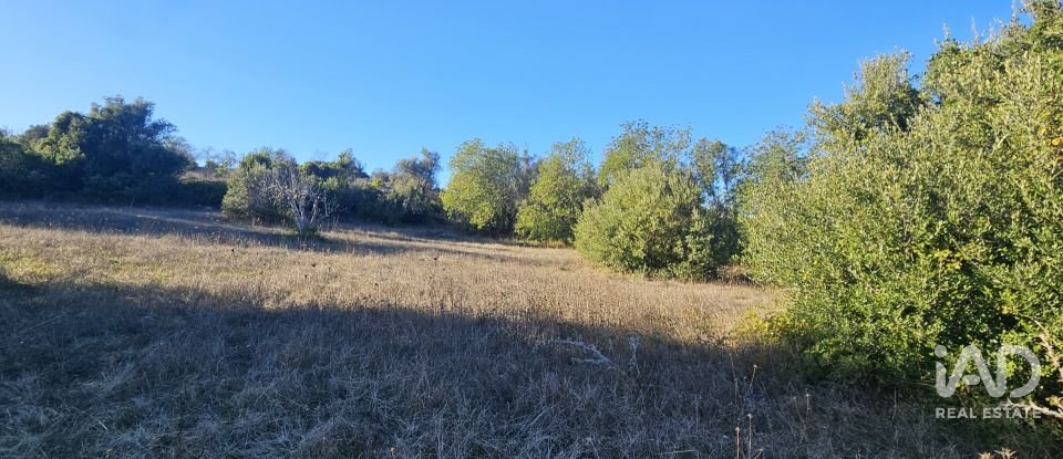 Terrain agricole à Santa Bárbara de Nexe de 14 880 m²