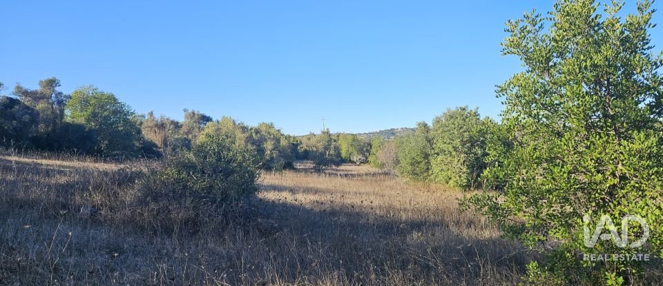 Terrain agricole à Santa Bárbara de Nexe de 14 880 m²