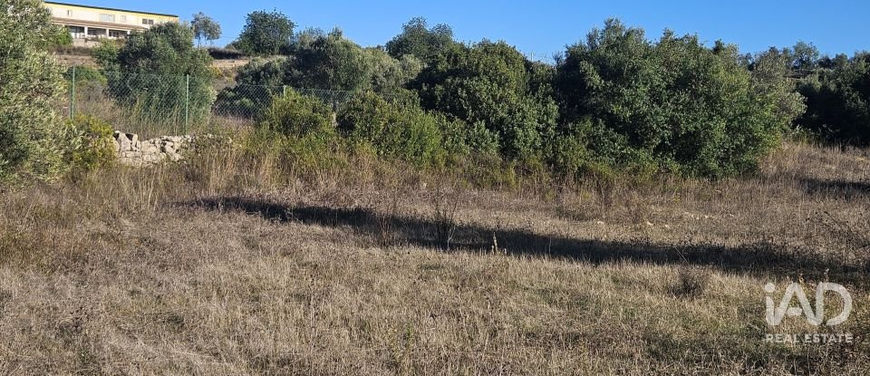 Terrain agricole à Santa Bárbara de Nexe de 14 880 m²