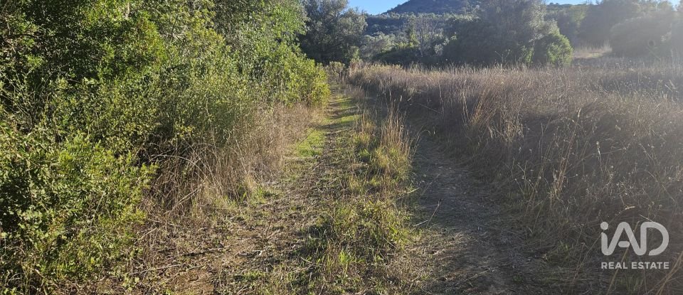 Terrain agricole à Santa Bárbara de Nexe de 14 880 m²