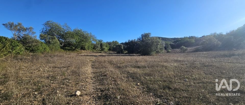 Terrain agricole à Santa Bárbara de Nexe de 14 880 m²