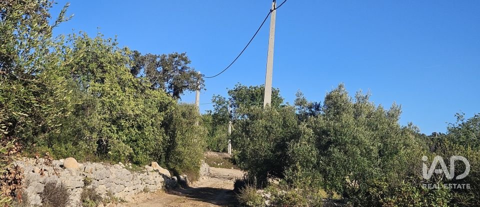 Terrain agricole à Santa Bárbara de Nexe de 14 880 m²