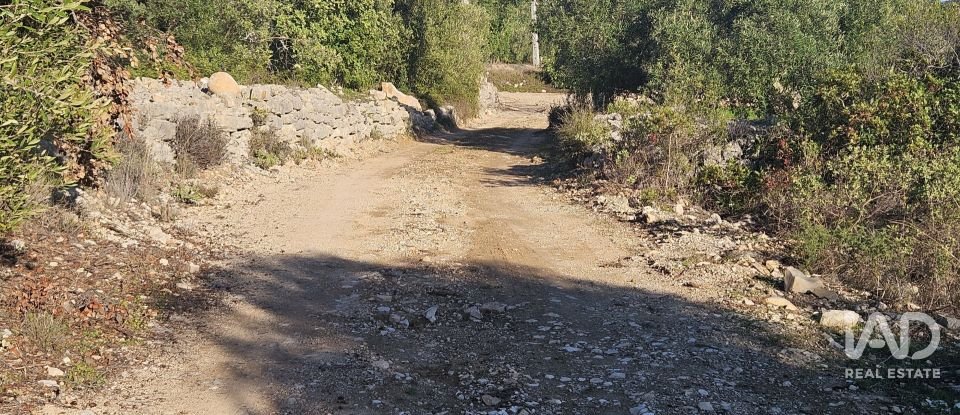 Terrain agricole à Santa Bárbara de Nexe de 14 880 m²