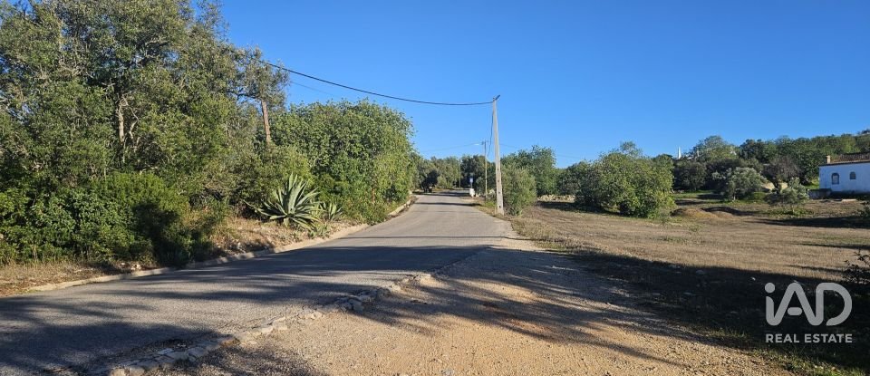 Terrain agricole à Santa Bárbara de Nexe de 14 880 m²